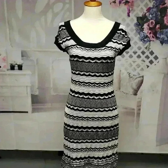 🌸INTERNATIONAL CONCEPTS FALL/WINTER DRESS - Picture 1 of 6